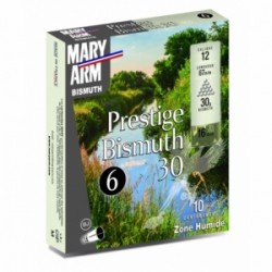 MARY ARM BISMUTH 30 BJ CAL12 N4