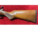 OCCASION - CZ 452 AMERICAN 17 HMR