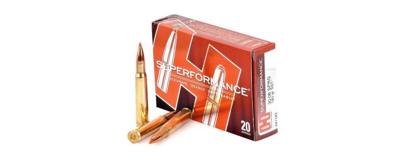 BOITE DE 20 CARTOUCHES HORNADY 30-06 SPRG 180 GR SST SPF