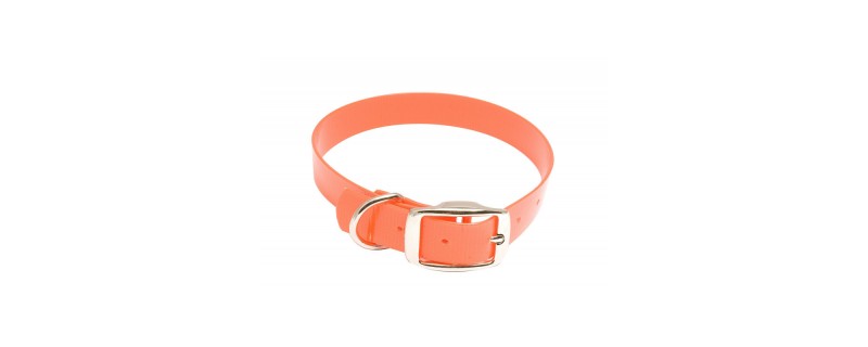 COLLIER CHIEN ORANGE 45CM