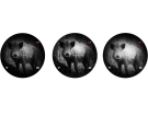LUNETTE MULTISPECTRE THERMIQUE+NOCTURNE PARD TD32