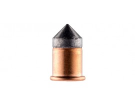 50 BALLES CONIQUES 9MM FLOBERT RWS