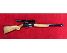 OCCASION B - WINCHESTER 190 22LR + LUNETTE