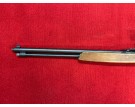 OCCASION B - WINCHESTER 190 22LR + LUNETTE