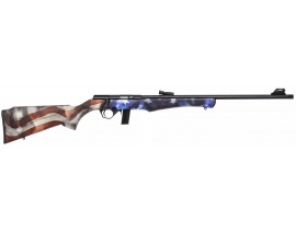 CARABINE ROSSI 8122 USA 22LR